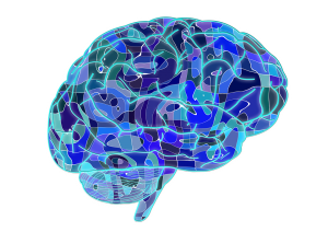 Is the brain like a computer, descriptive and scientific?  